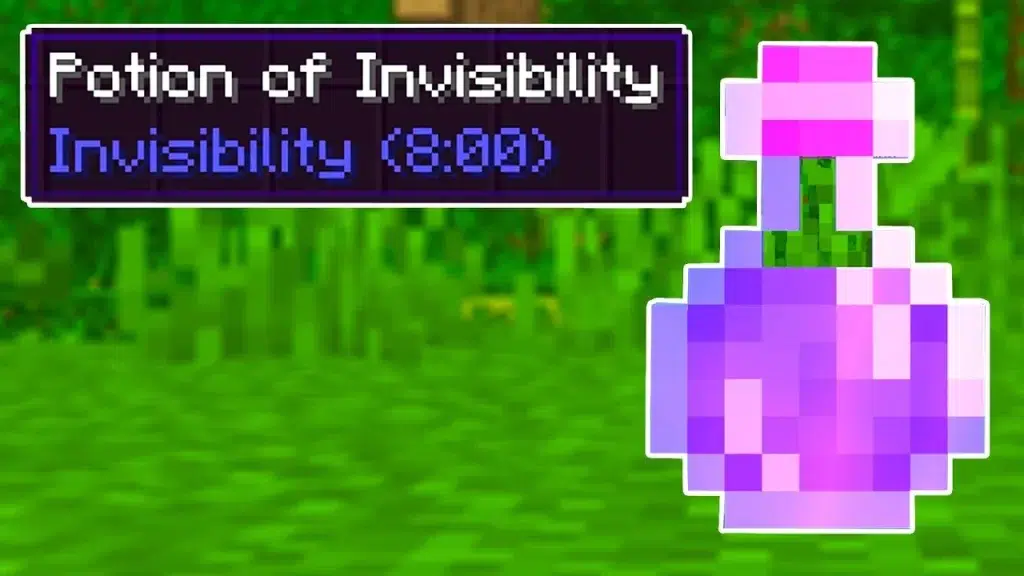 Invisibility Potion in Minecraft