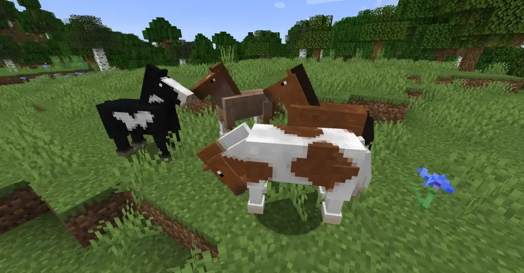 Types of horses in Minecraft